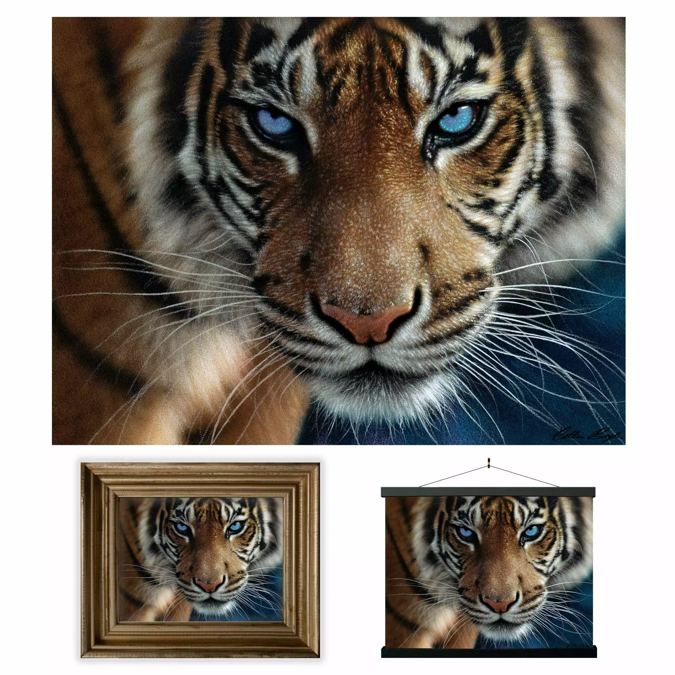 3D LiveLife Lenticular Wall Art Prints Blue Eyes Tiger Poster Steve Sundram Deluxebase