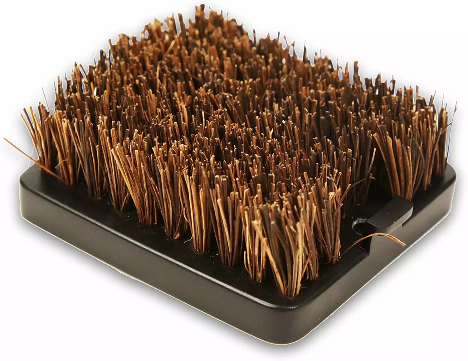 Pit Boss Soft Touch Palmyra Replacement Head Grill Cleaning Brush