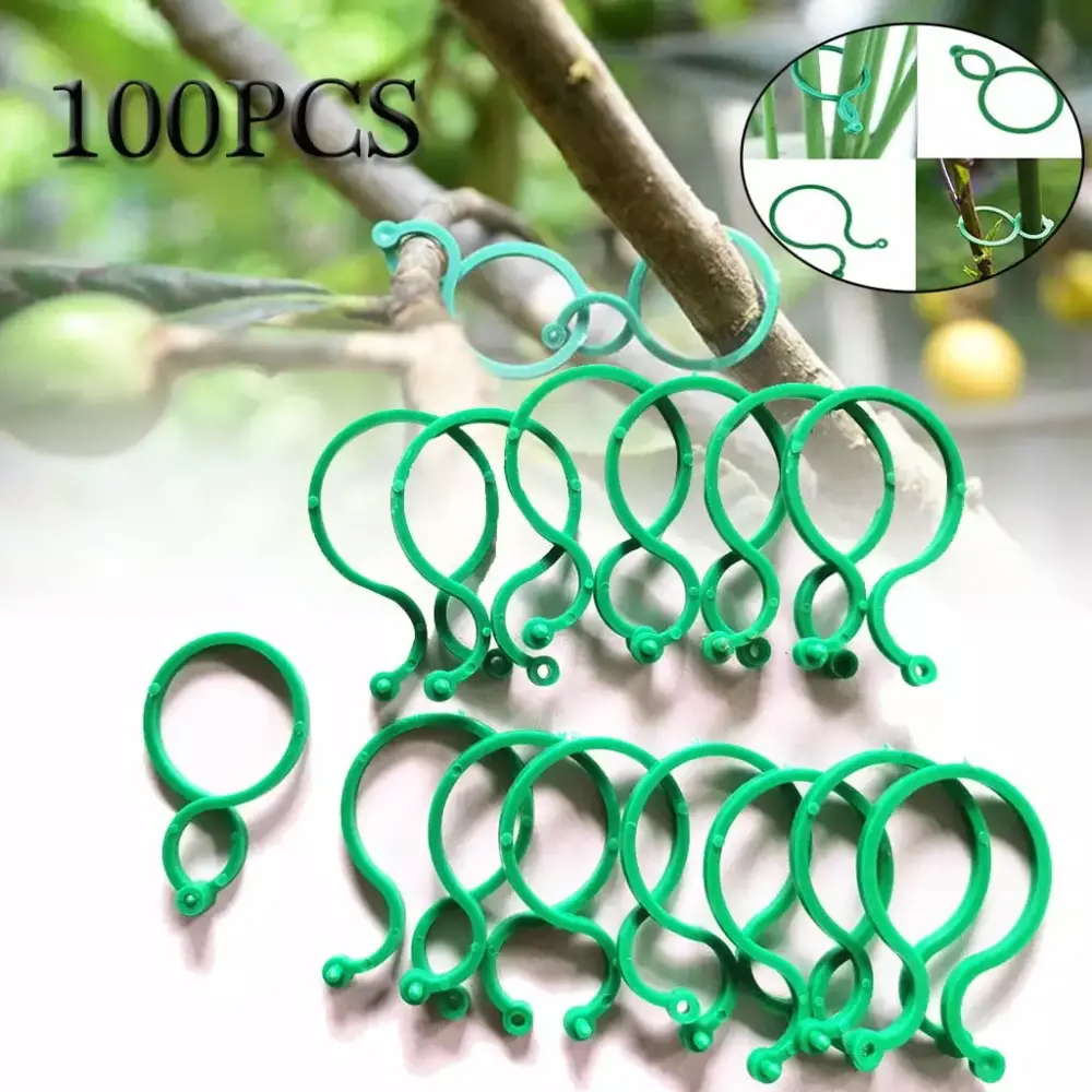 100Pcs Botany Stem Vine Strapping Clips Garden Bundled Buckle Ring Tool Trays
