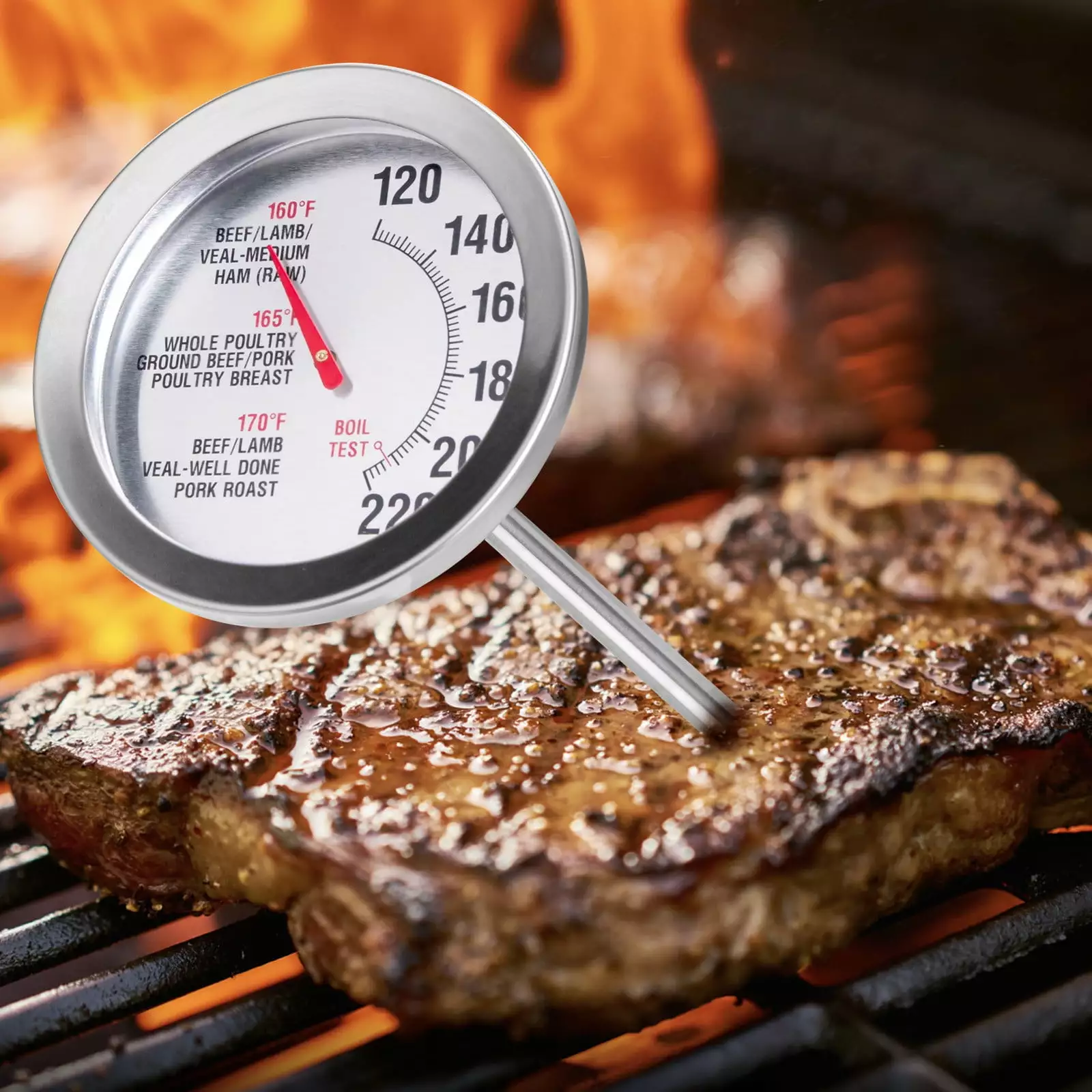 SDJMa Stainless Steel Oven Meat Thermometer 2.4-Inch Dial Temperature Labeled Beef Poultry Pork