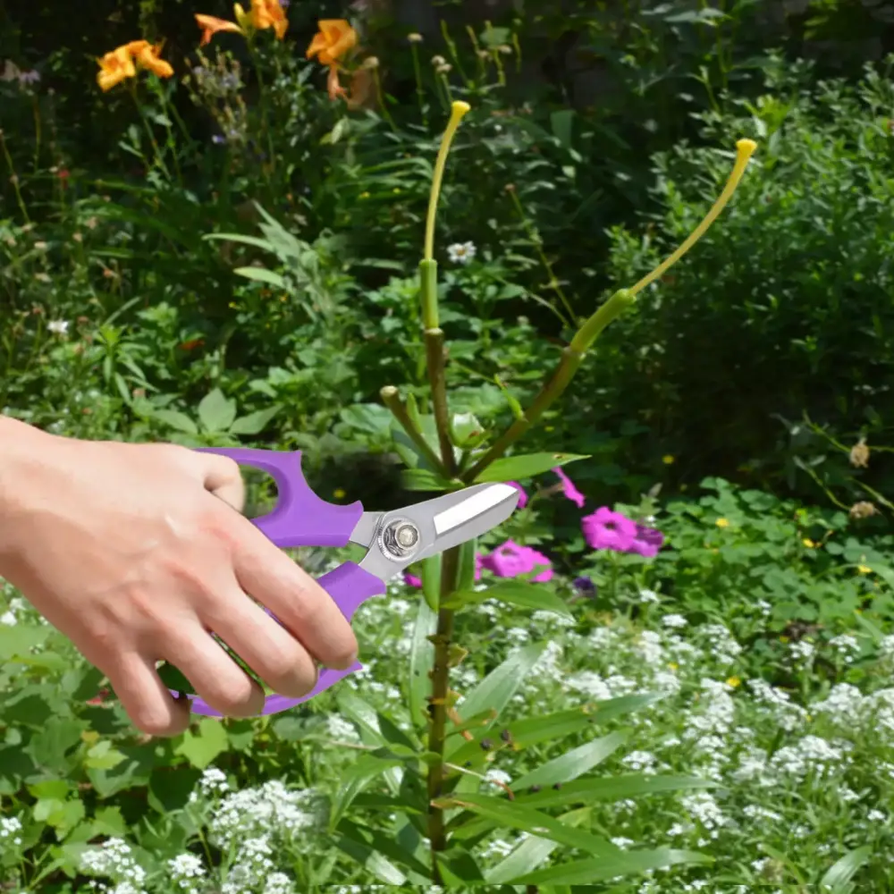 Sunggoko Garden Scissors Floriculture Pruning Flowers and Fruit Picking One