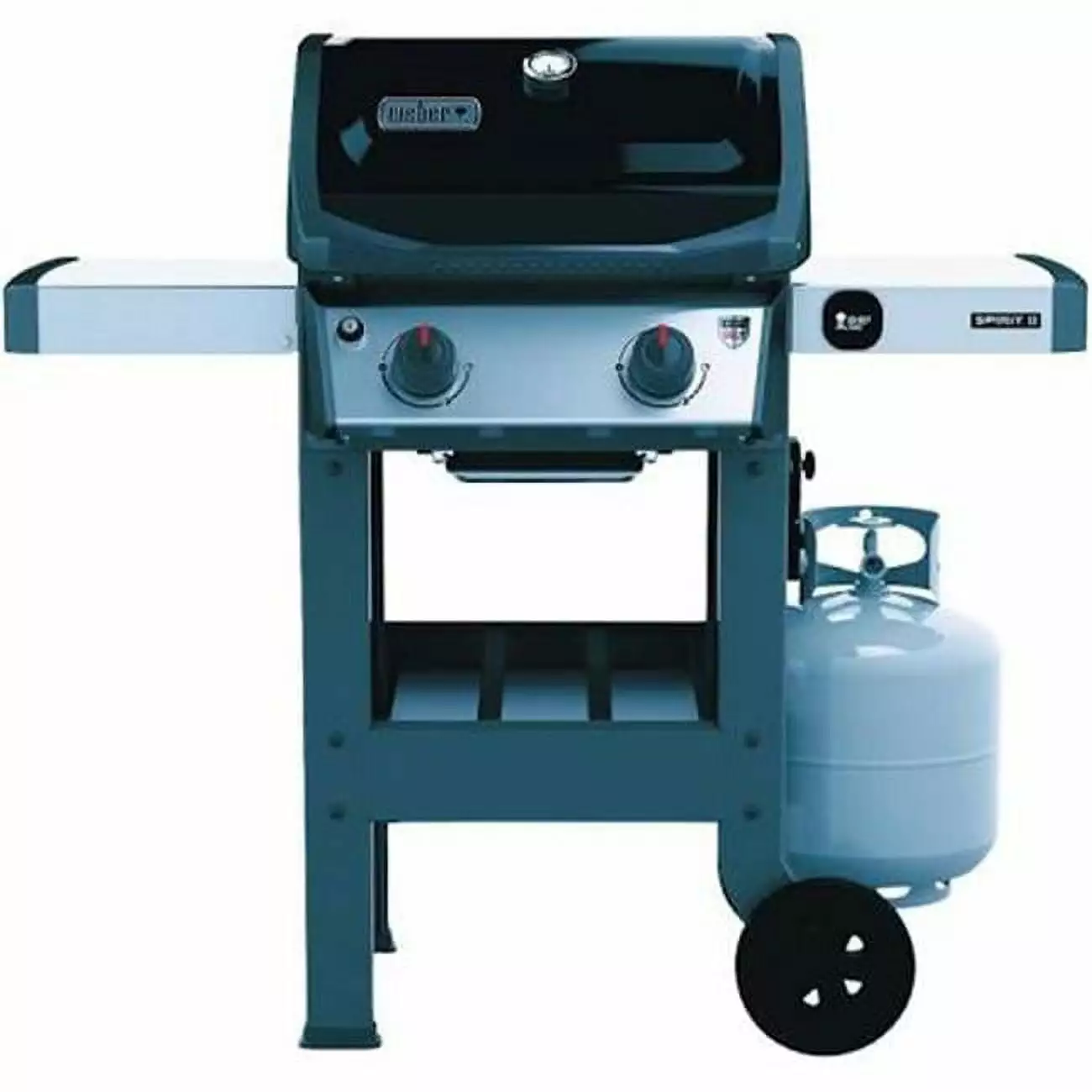 Original E-210 Liquid Propane Gas Grill Black Outdoor BBQ