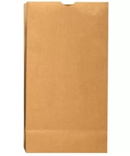 R3 18424 Kraft Paper Grocery Bag Plain 500 Bundle