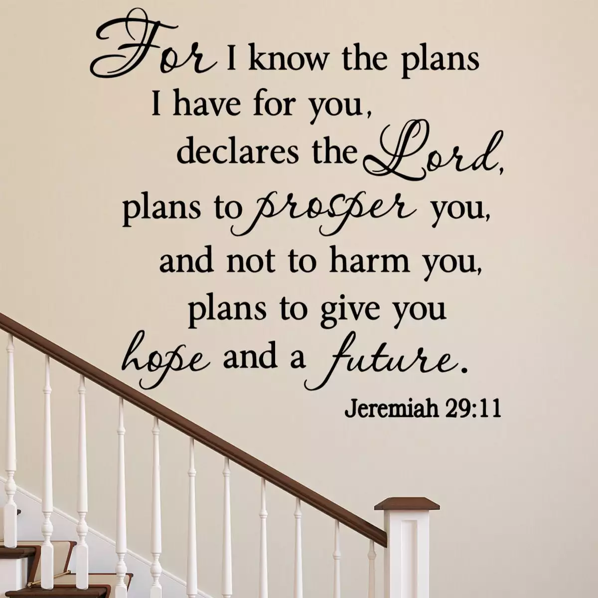 VWAQ I Know Plans I Have You Jeremiah 29:11 Bible Wall Decal 19H x 20W Black