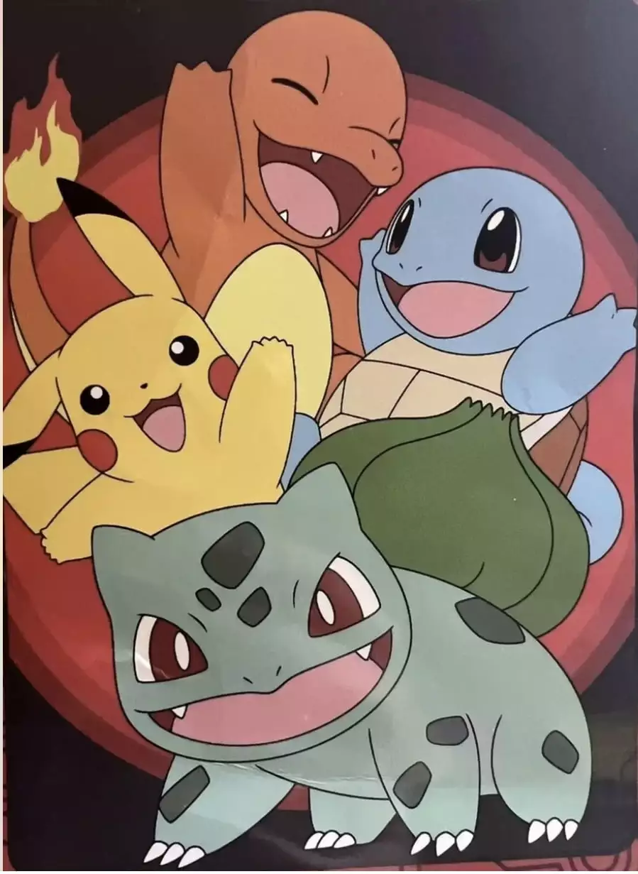 Pokemon Kids Boys Plush Blanket Soft and Warm Twin Size The Northwest Company