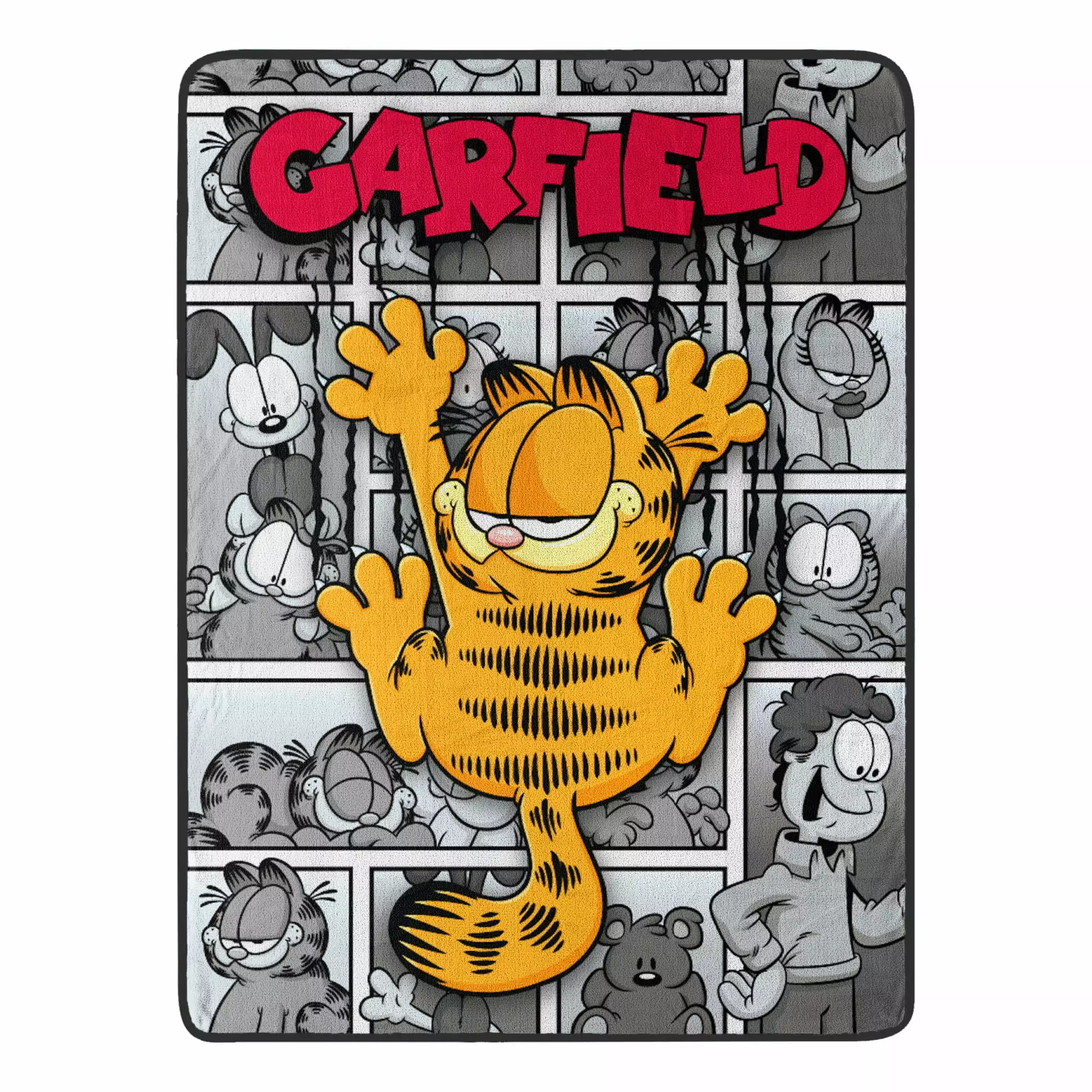Garfield Cat Scratch Smile Kids Micro Raschel Throw Blanket