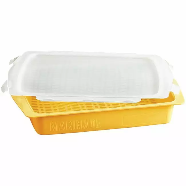 Mr. Bar-B-Q Flip & Flavor Marinade Tray Grilling Meats