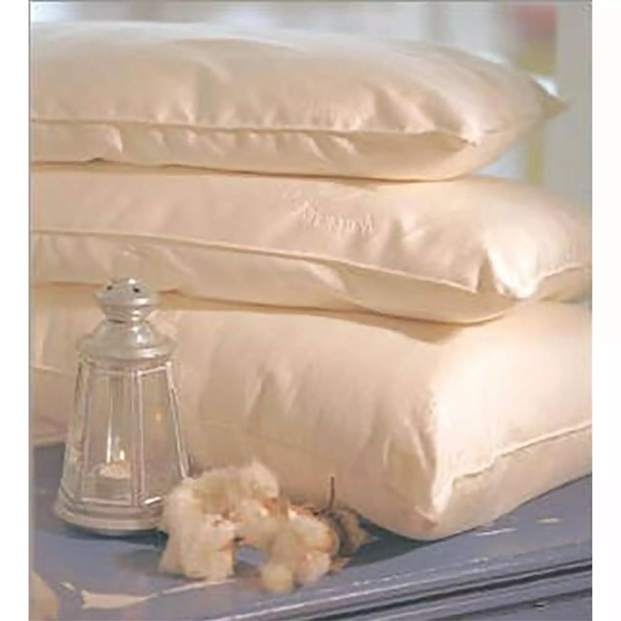 Organic Wool Pillows Child Travel Regular Fill 14 x 20 Inches Healthy Body Head to Toe