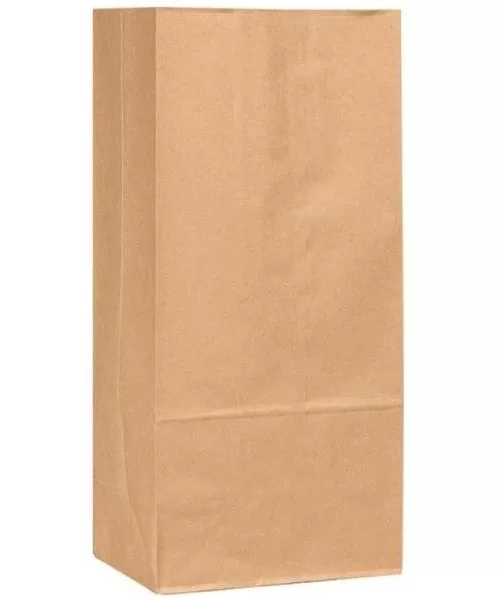 R3 30920 Extra Heavy Duty Paper Bag Plain Brown 250/Bundle