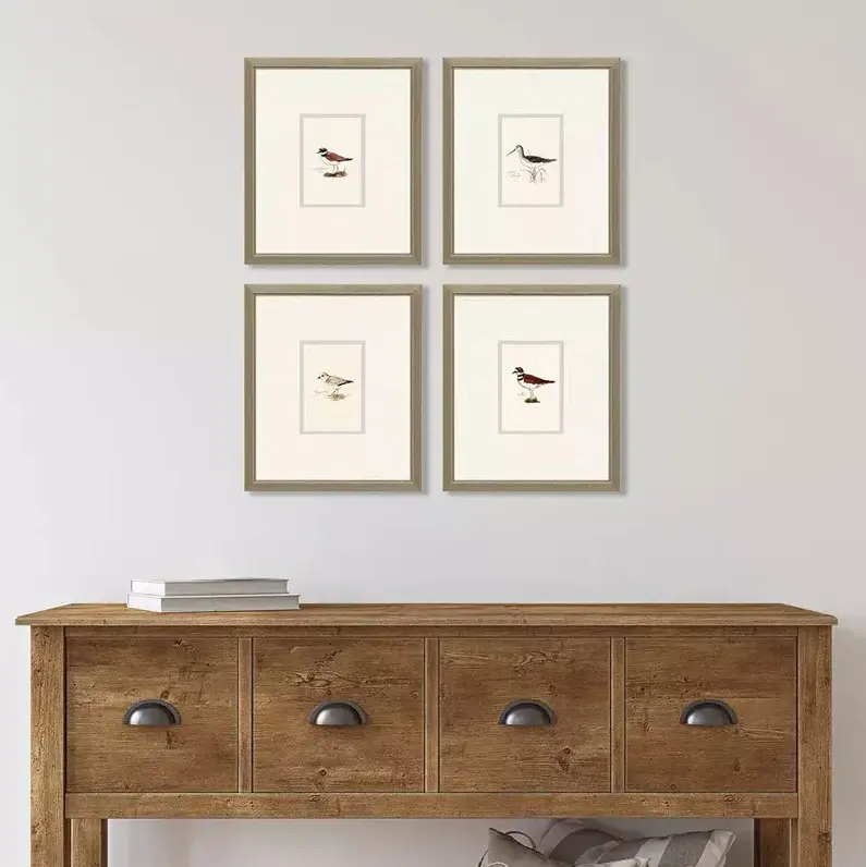 Vintage Style Shorebirds