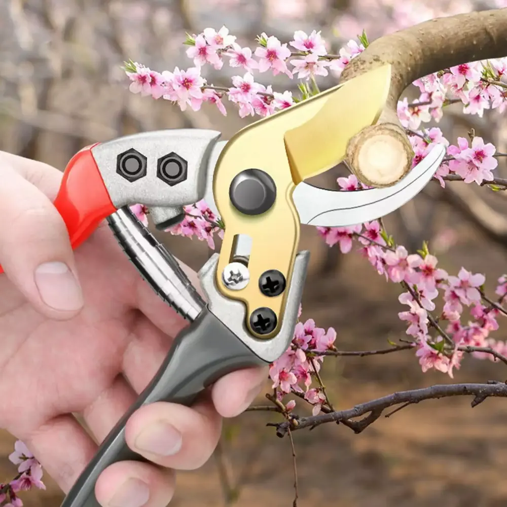 Pruning Scissors Flower Art Branch Cutting and Fruit Tree Pruning Labor Saving Design