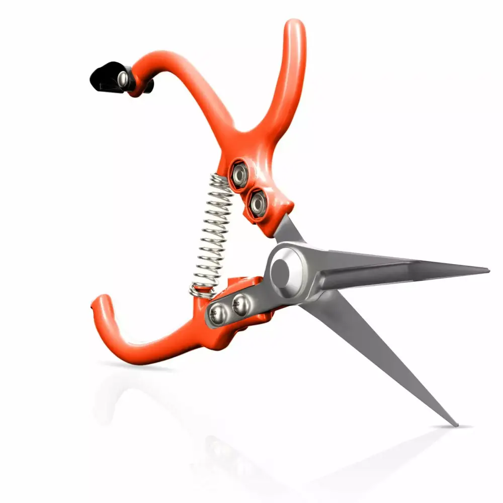 Precision Garden Pruning Shears - Sharp Straight Tip Trimmer Scissors Bonsai and Gardening 23x12cm
