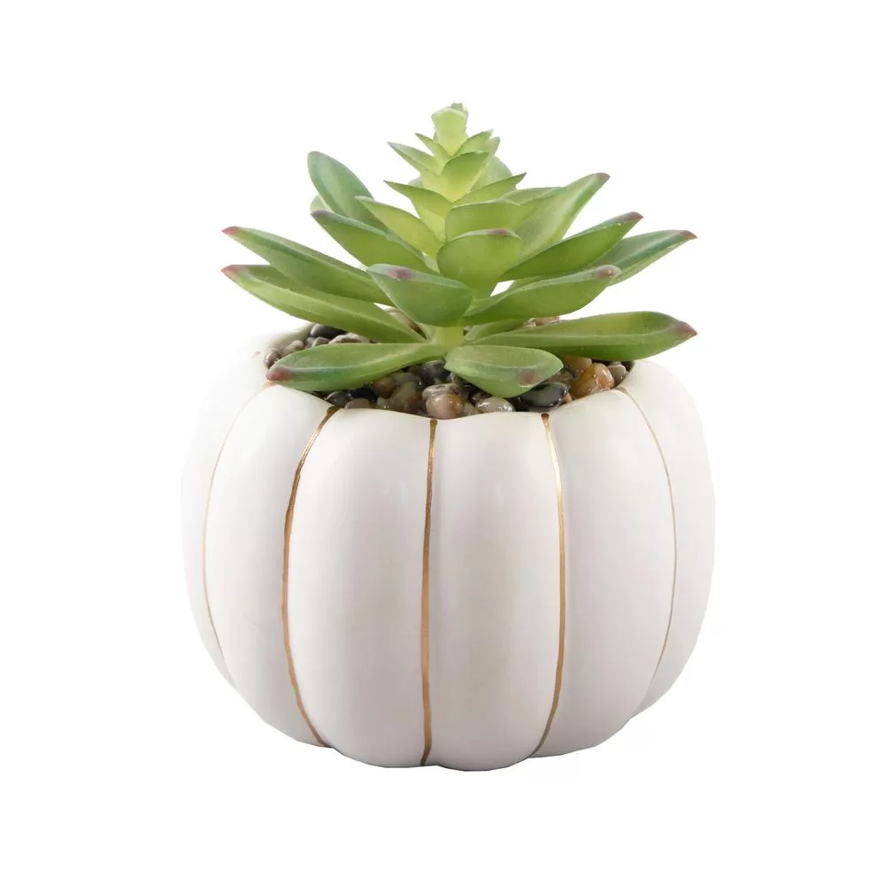 Flora Bunda 5 Inch Fall Harvest Artificial Succulent Ceramic Pumpkin Pot