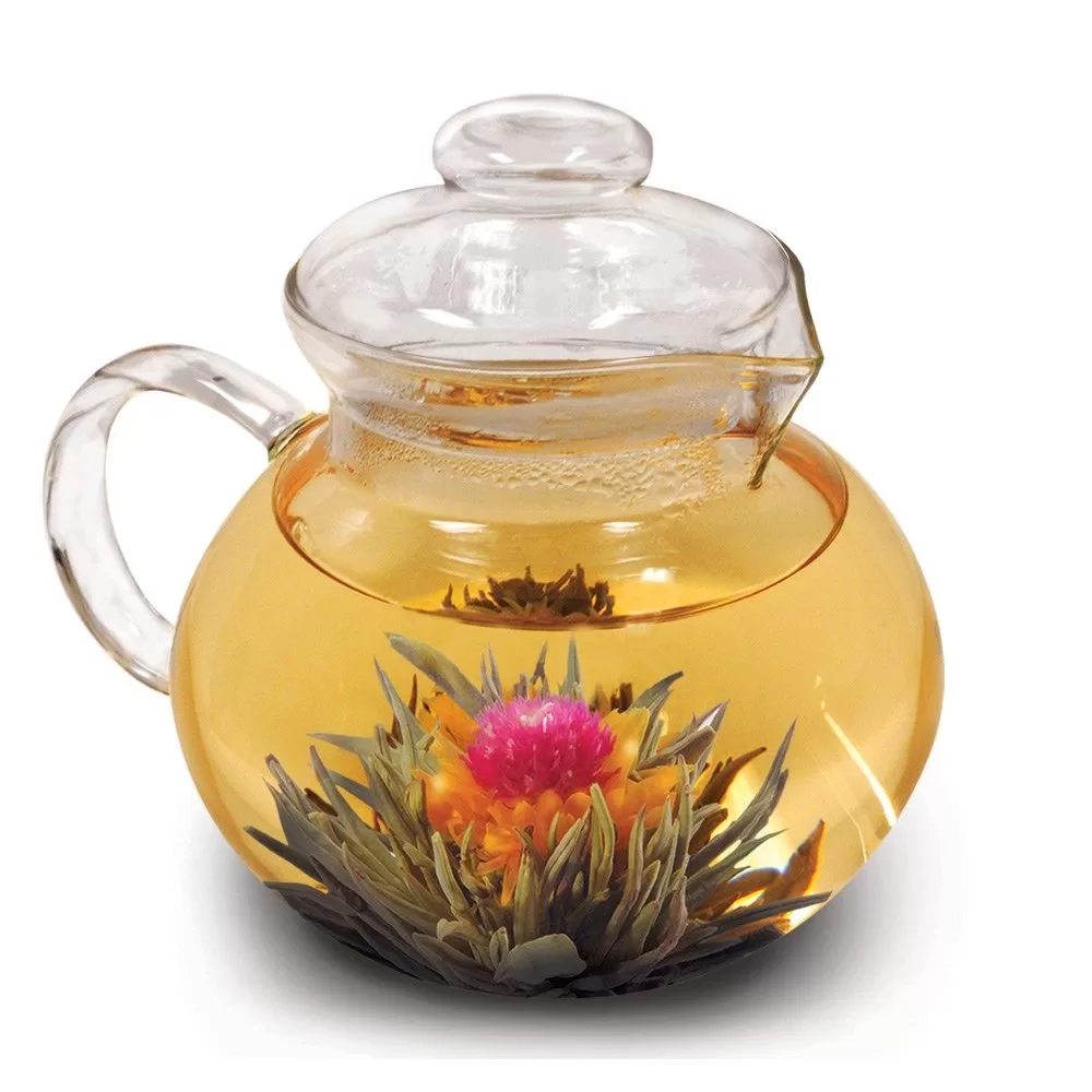 Primula PTA 3940 Classic Glass Teapot 40 Oz