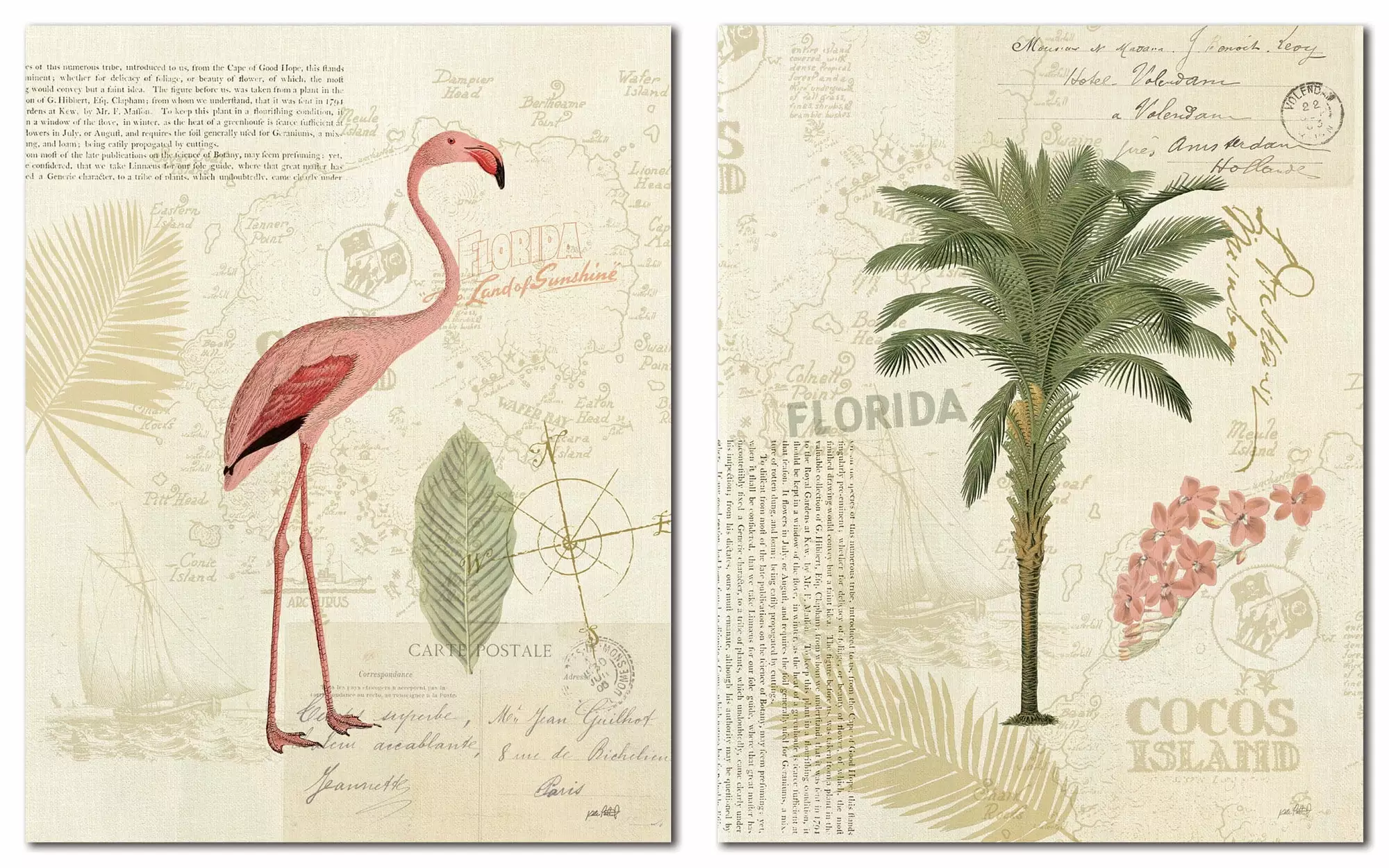 Tropical Florida Pink Flamingo and Palm Tree Set Katie Pertiet - Two 11x14in Poster Prints Gango Home Decor